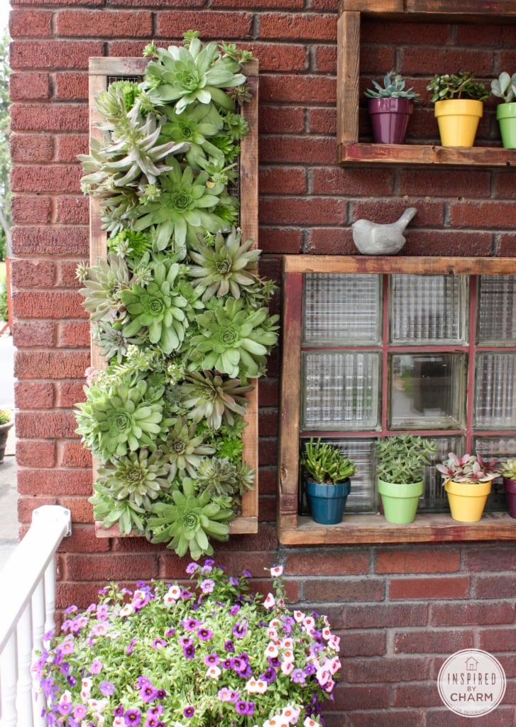 Hens and Chicks Wall Planter via Inspired by Charm