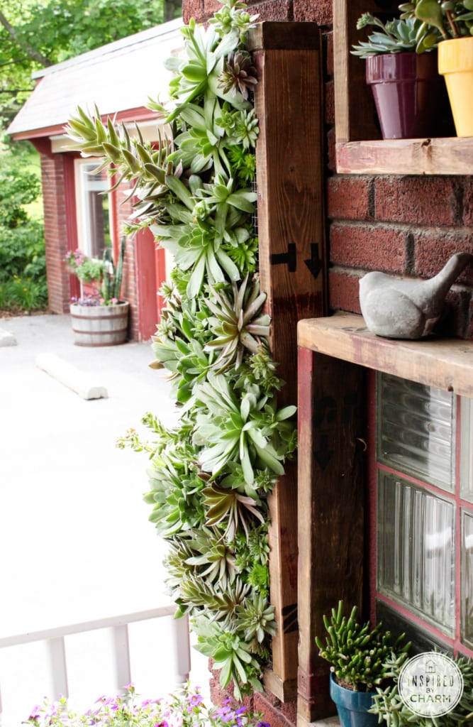 Hens and Chicks Wall Planter via Inspired by Charm