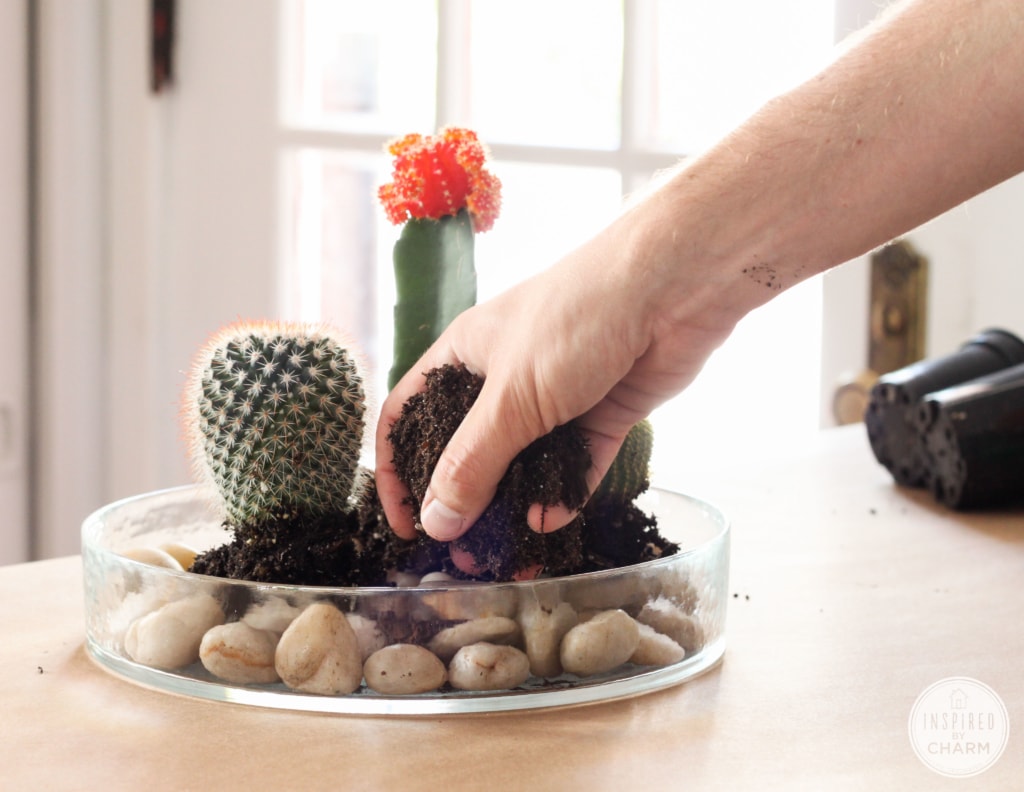 hand adding soil to cactus planter.