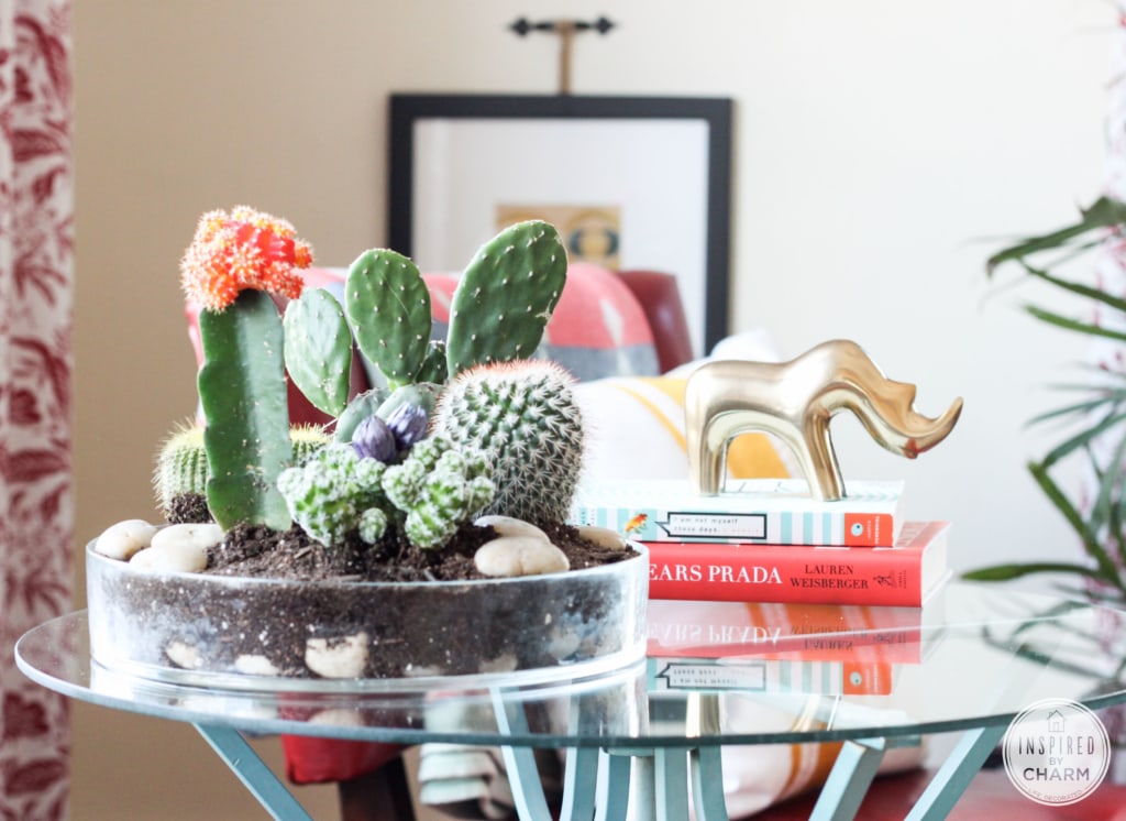 Tabletop Cactus planter on a table.
