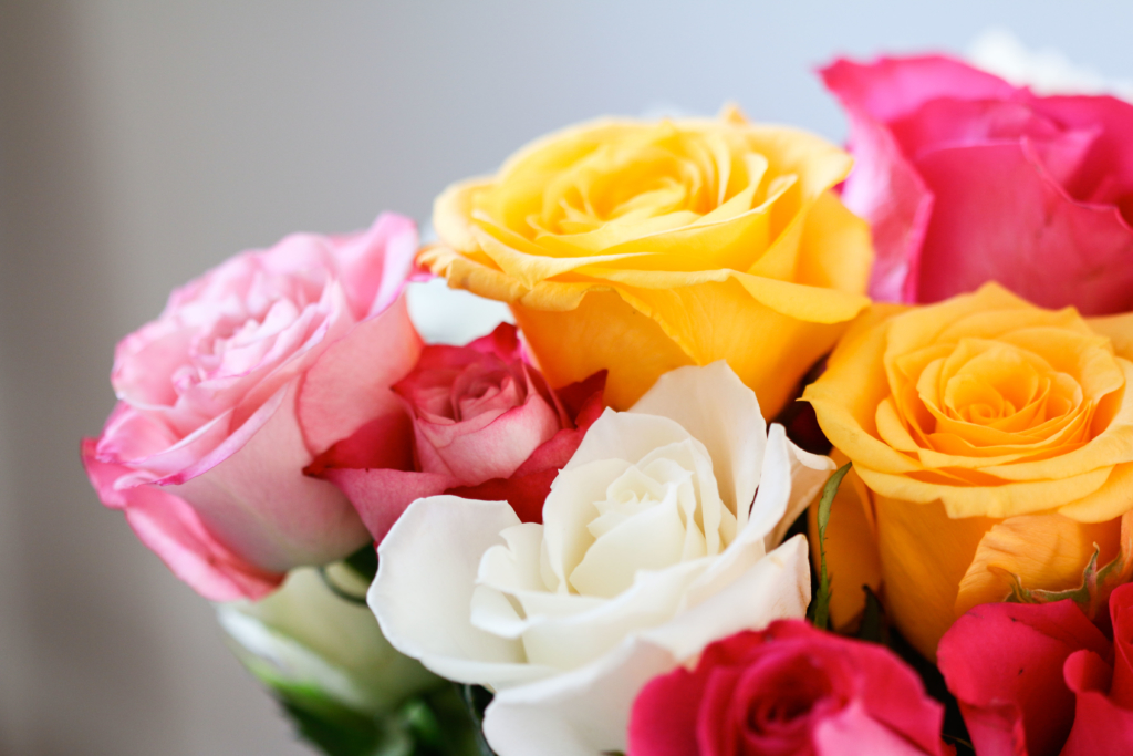 roses for Galentine's Day