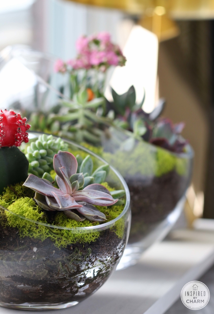 Succulent Garden Bowl | Inspired by Charm