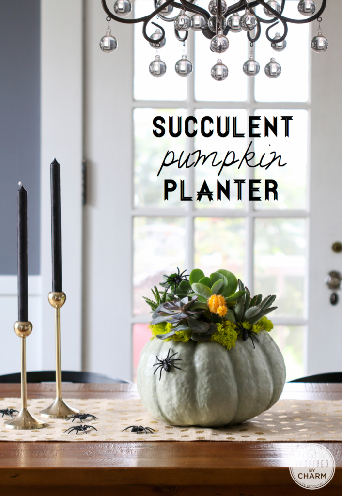 Succulent Pumpkin Planter | Inspired by Charm 