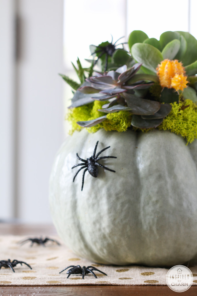 Succulent Pumpkin Planter | Inspired by Charm
