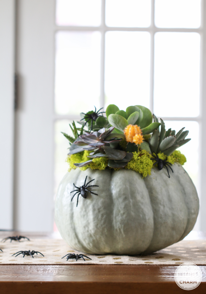 pumpkin and spider centerpiece for fall