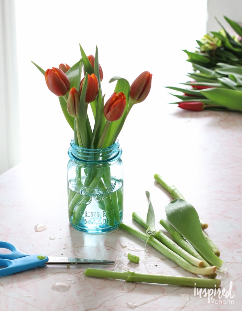 Arranging Tulips | Inspired by Charm 