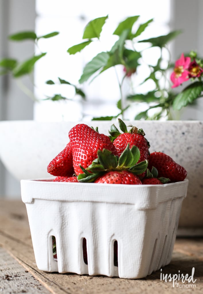 Strawberry Planter | Inspired by Charm