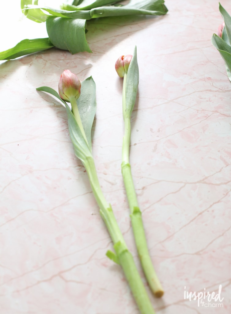 Arranging Tulips | Inspired by Charm