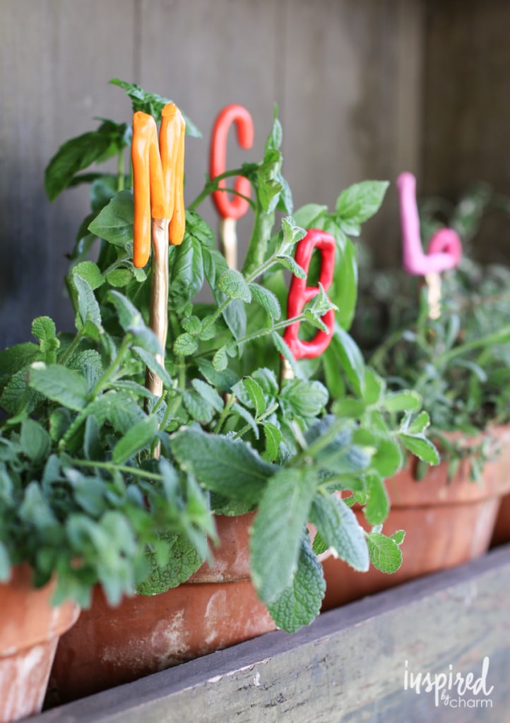 colorful herb markers