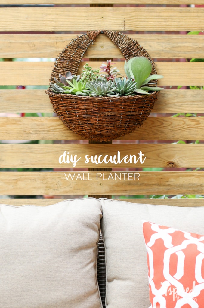 DIY Succulent Wall Planter | Inspired by Charm