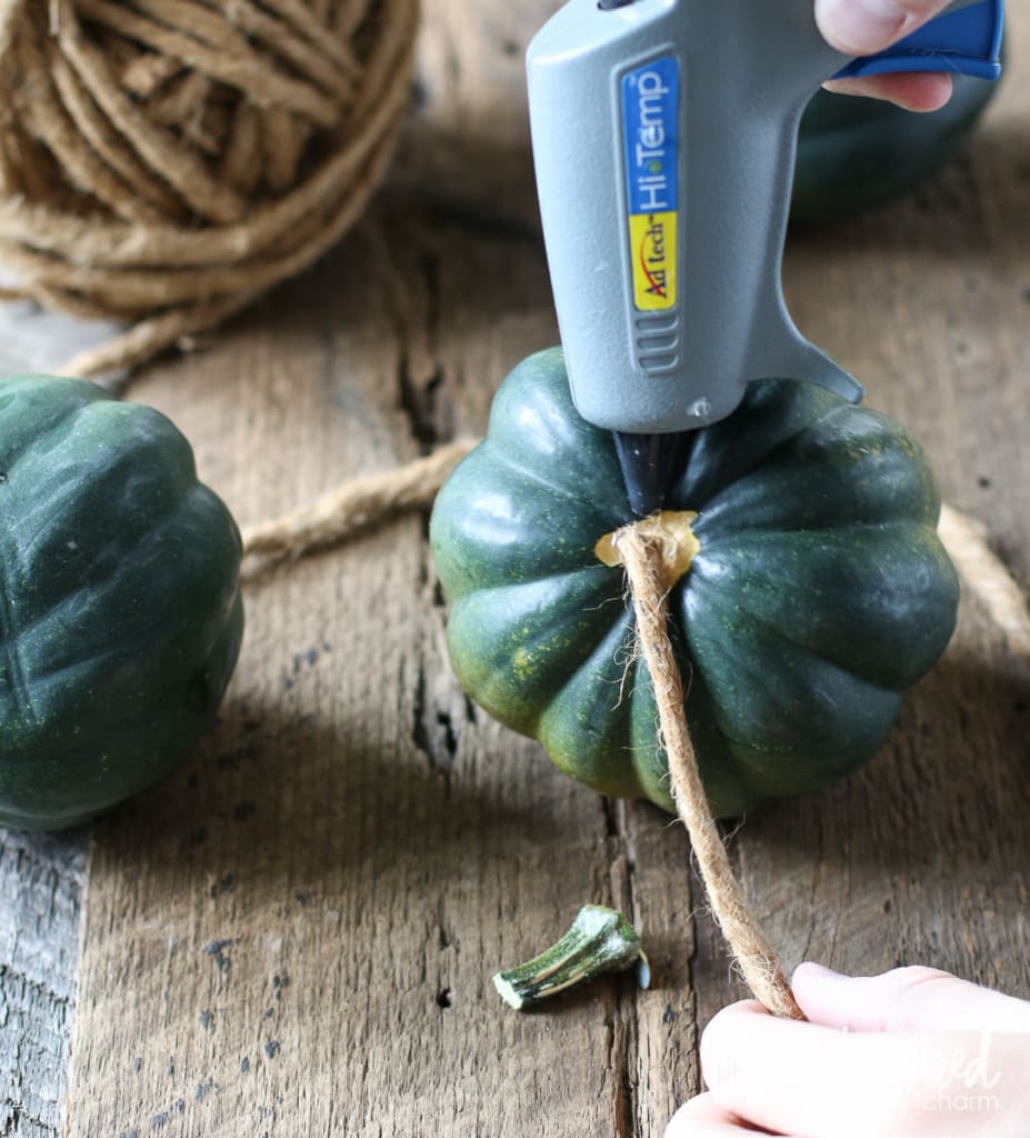 These "acorns" made with acorn squash are a quick and easy DIY to help decorate your home for the fall. inspiredbycharm.com