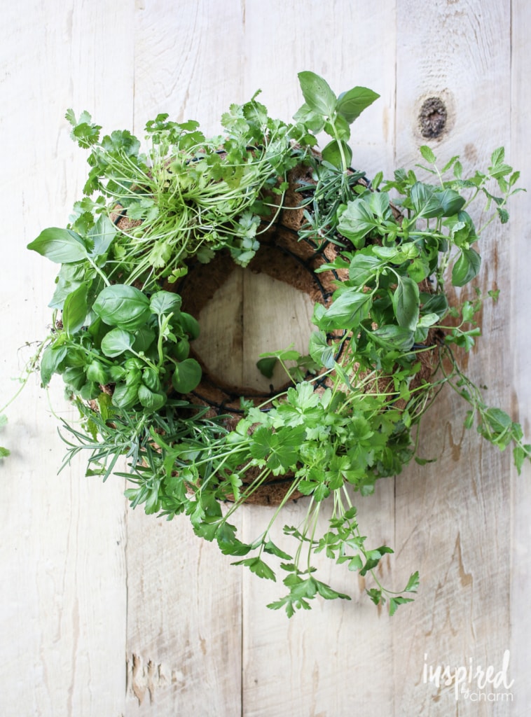 DIY Herb Wreath