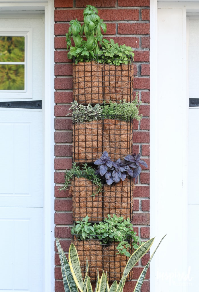 DIY Vertical Herb Garden | inspiredbycharm.com