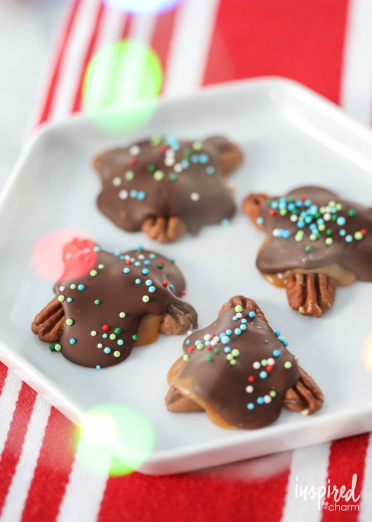 Salted Turtle Candies with colorful sprinkles
