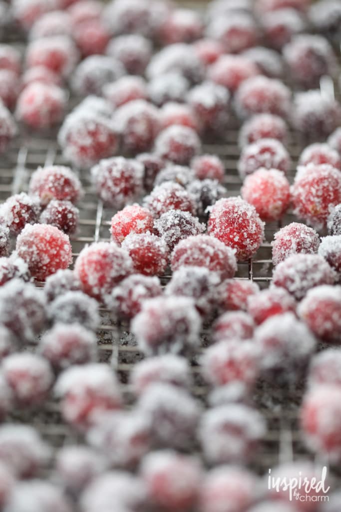 Sugared Cranberries drying on a wire rack