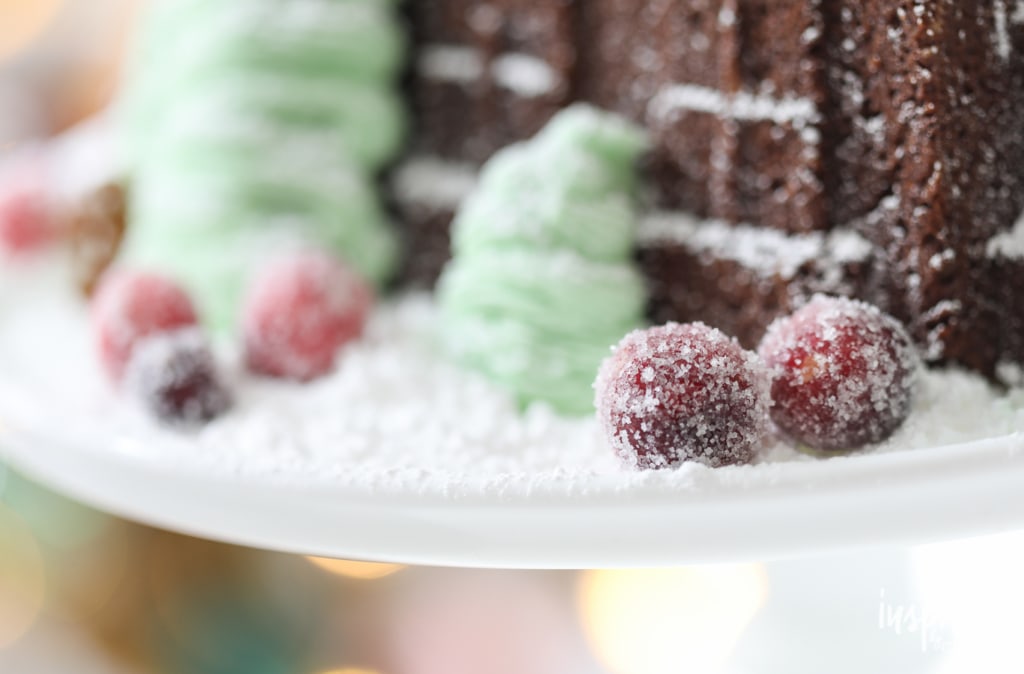 Sugared Cranberries and Gingerbread House Cake | inspiredbycharm.com #IBCholiday