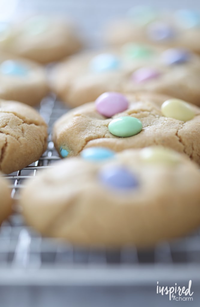 Soft Peanut Butter Cookies for Spring and Easter - peanut butter and chocolate cookie dessert recipe 