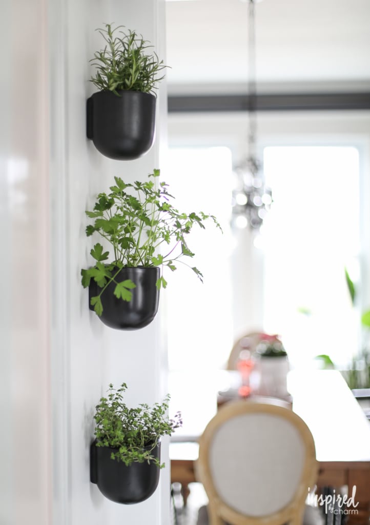 How to create a Vertical Modern Herb Garden for your Kitchen | Inspired by Charm