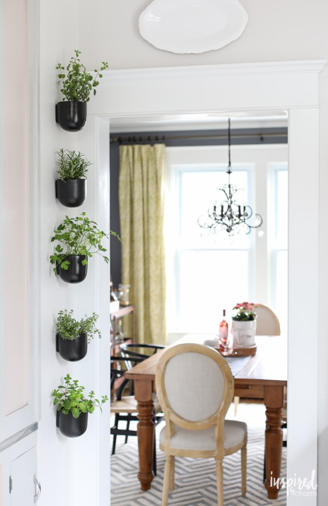 How to create a Vertical Modern Herb Garden for your Kitchen | Inspired by Charm