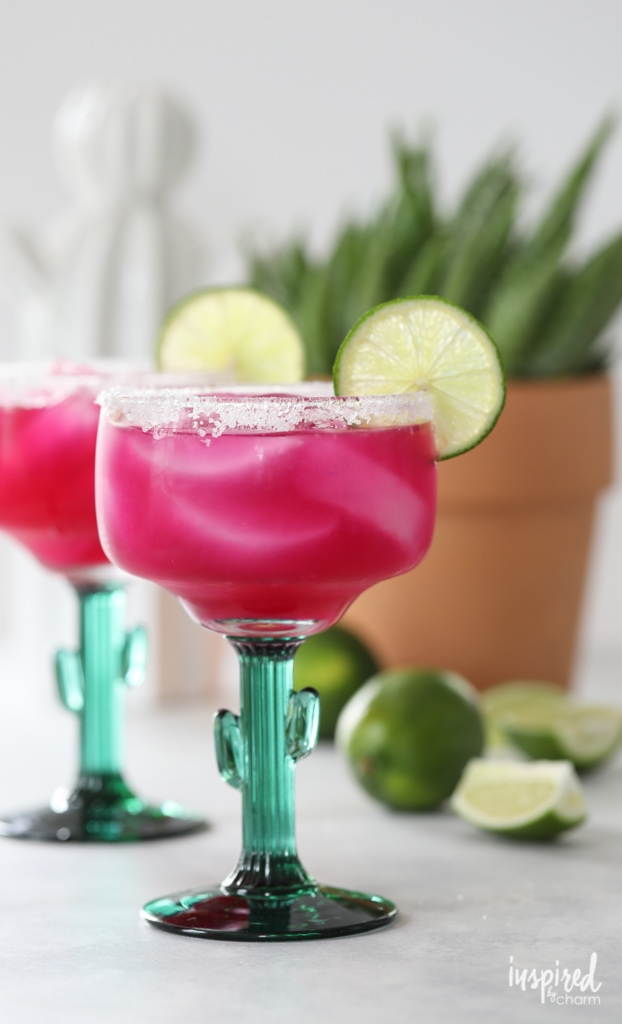 2 glasses of pink hued cocktail for cactus themed party