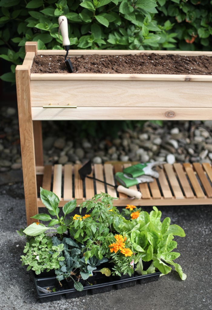 4 Steps to Creating and Styling an Outdoor Raised Vegetable Garden | Inspired by Charm