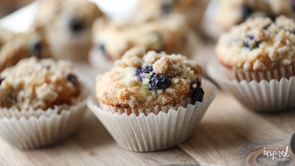 Really Good Blueberry Muffins recipe for breakfast, brunch, or anything in-between! 