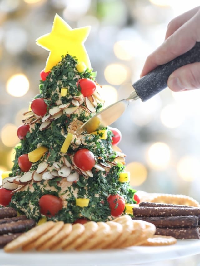 cropped-cheese-ball-appetzier-christmas.jpg