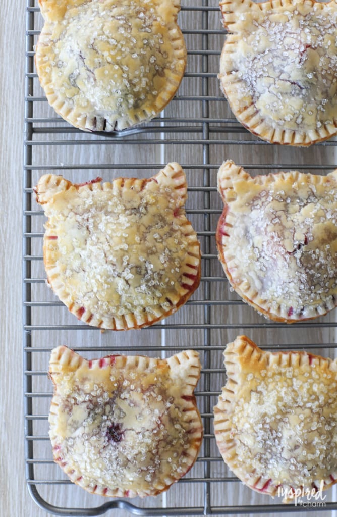 A delicious and easy handheld treat - Purrrfect Berry Hand Pies