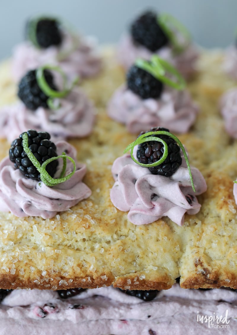 This Blackberry Lime Shortcake Cake make the perfect warm weather dessert.