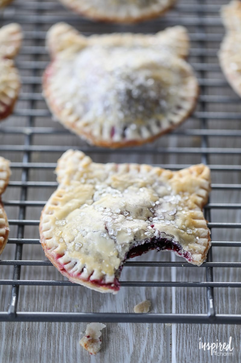 A delicious and easy handheld treat - Purrrfect Berry Hand Pies