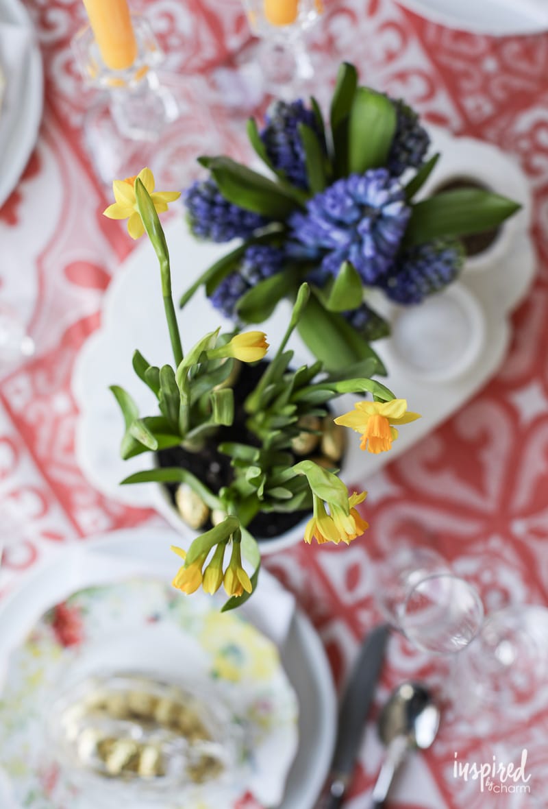 daffodil bulbs in a vase on a table.