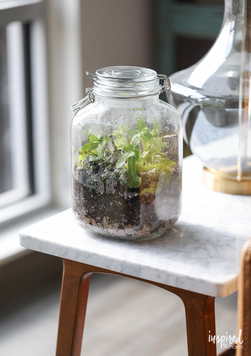 terrarium in a jar on a table.