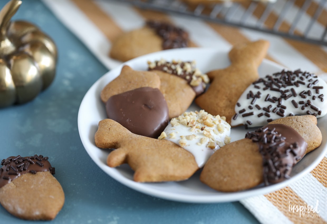 Chocolate Dipped Gingerbread Cookies shaped liked acorns and squirrels for fall! #cookie #gingerbread #fallcookieweek #recipe #chocolate #fallbaking