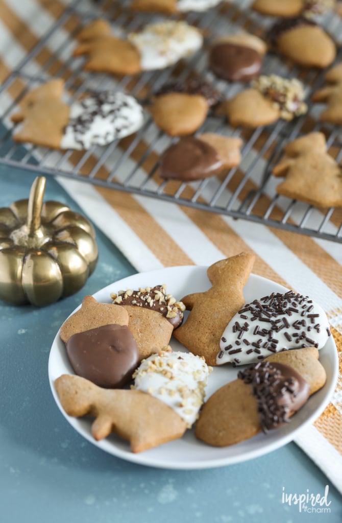 Chocolate Dipped Gingerbread Cookies shaped liked acorns and squirrels for fall! #cookie #gingerbread #fallcookieweek #recipe #chocolate #fallbaking