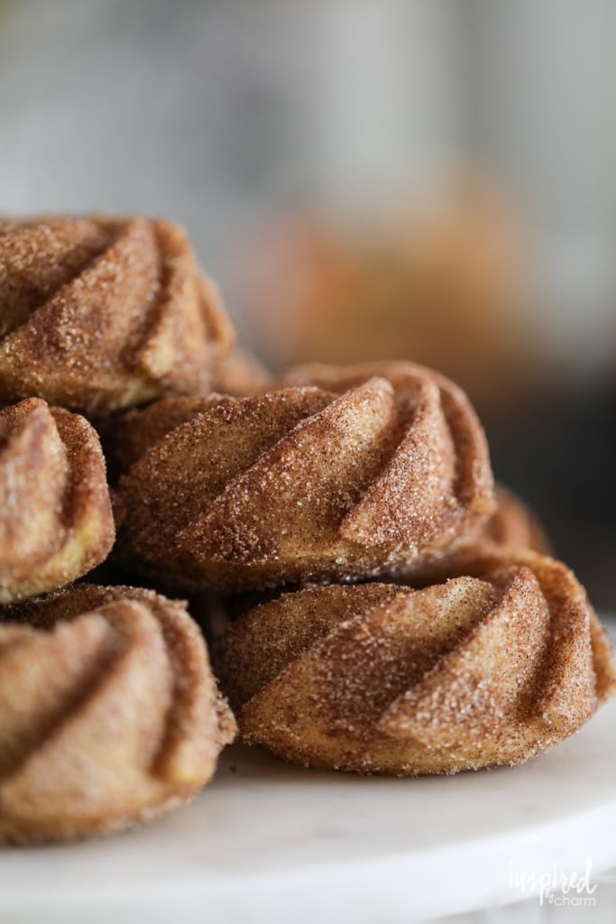 Baked Apple Cider Donuts for breakfast or dessert! #recipe #apple #bakeddonut #donut #applecider #fallbaking #appleciderdonut