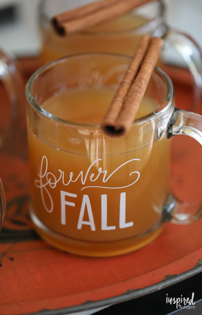 spiced cider drink for fall