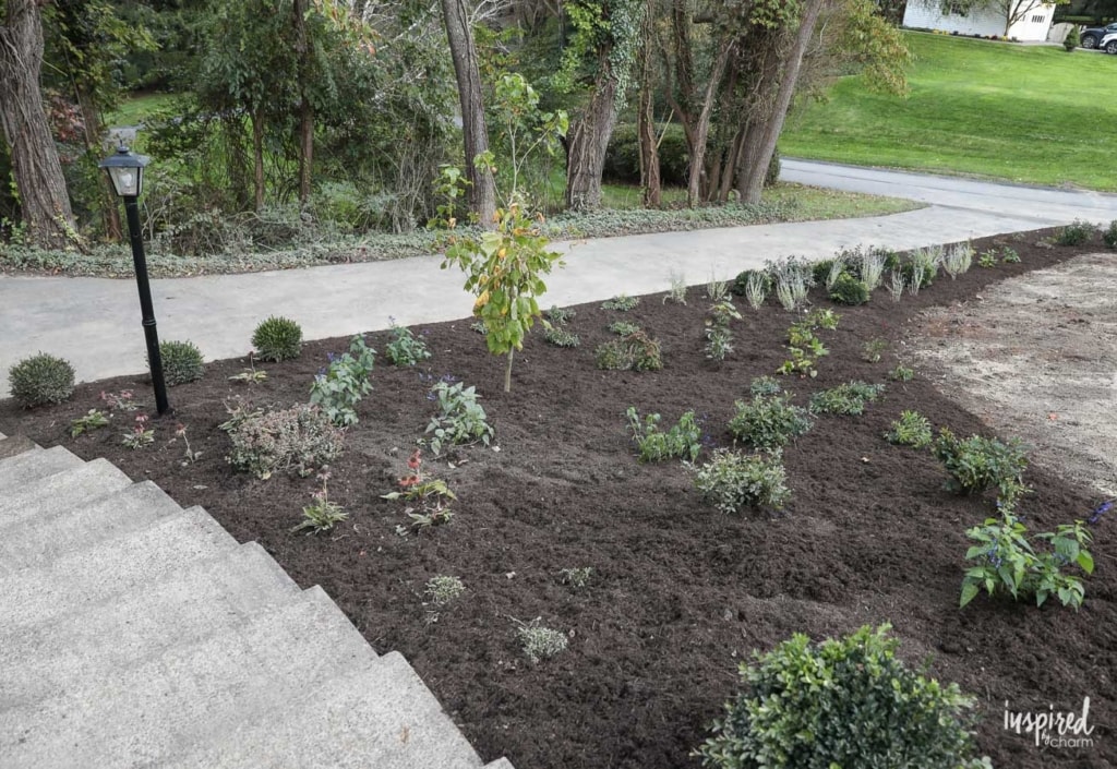 Front Yard Landscaping: The After #landscaping #frontyard #yard #planting #exterior