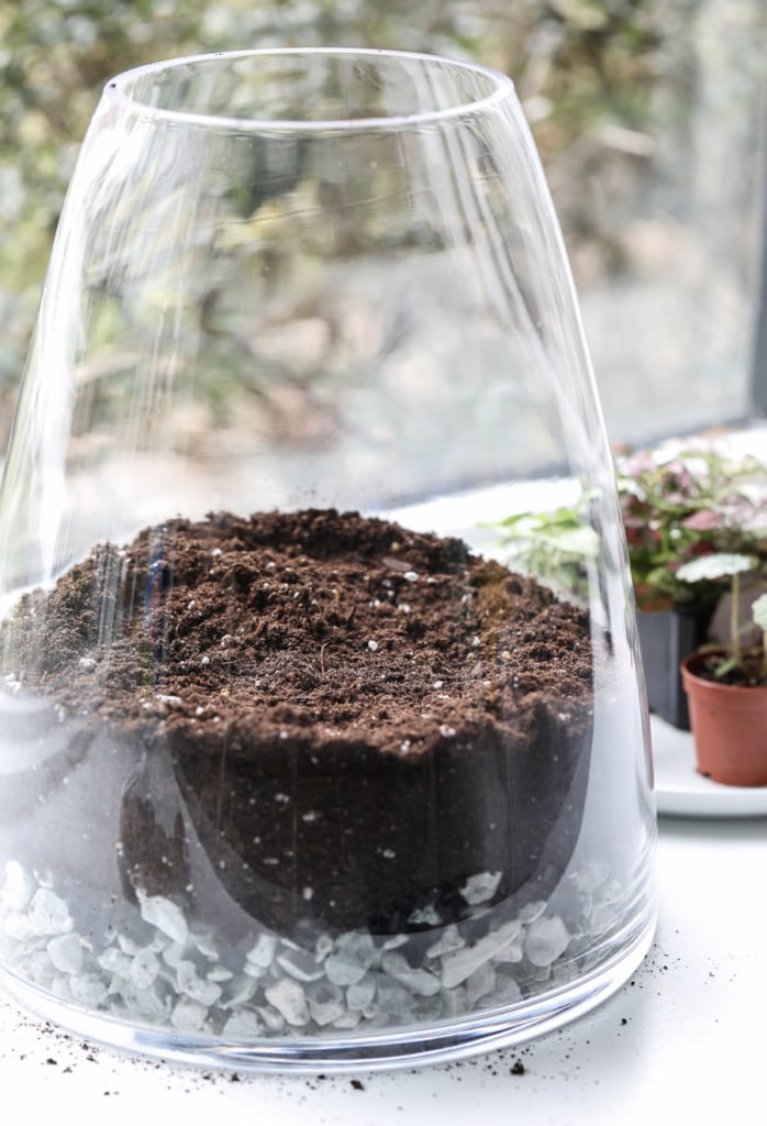 Learn how to make a terrarium! #terrarium #plants #diy #garden 