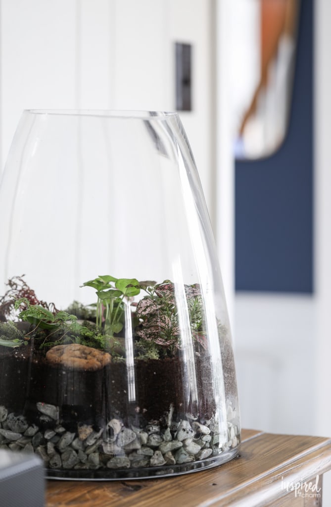 terrarium in a jar on a table.