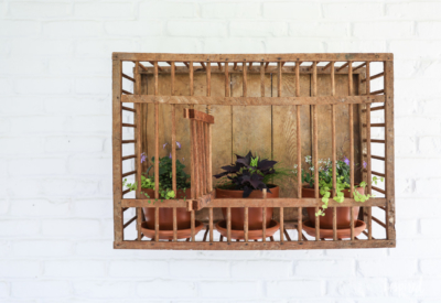 Vintage Chicken Crate: Outdoor Wall Decor #outdoor #wall #decor #decorating #vintage #planter