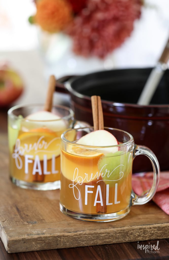 Homemade and really Good Cider Mulled Wine #apple #cider #mulled #wine #fall #cocktail #recipe 