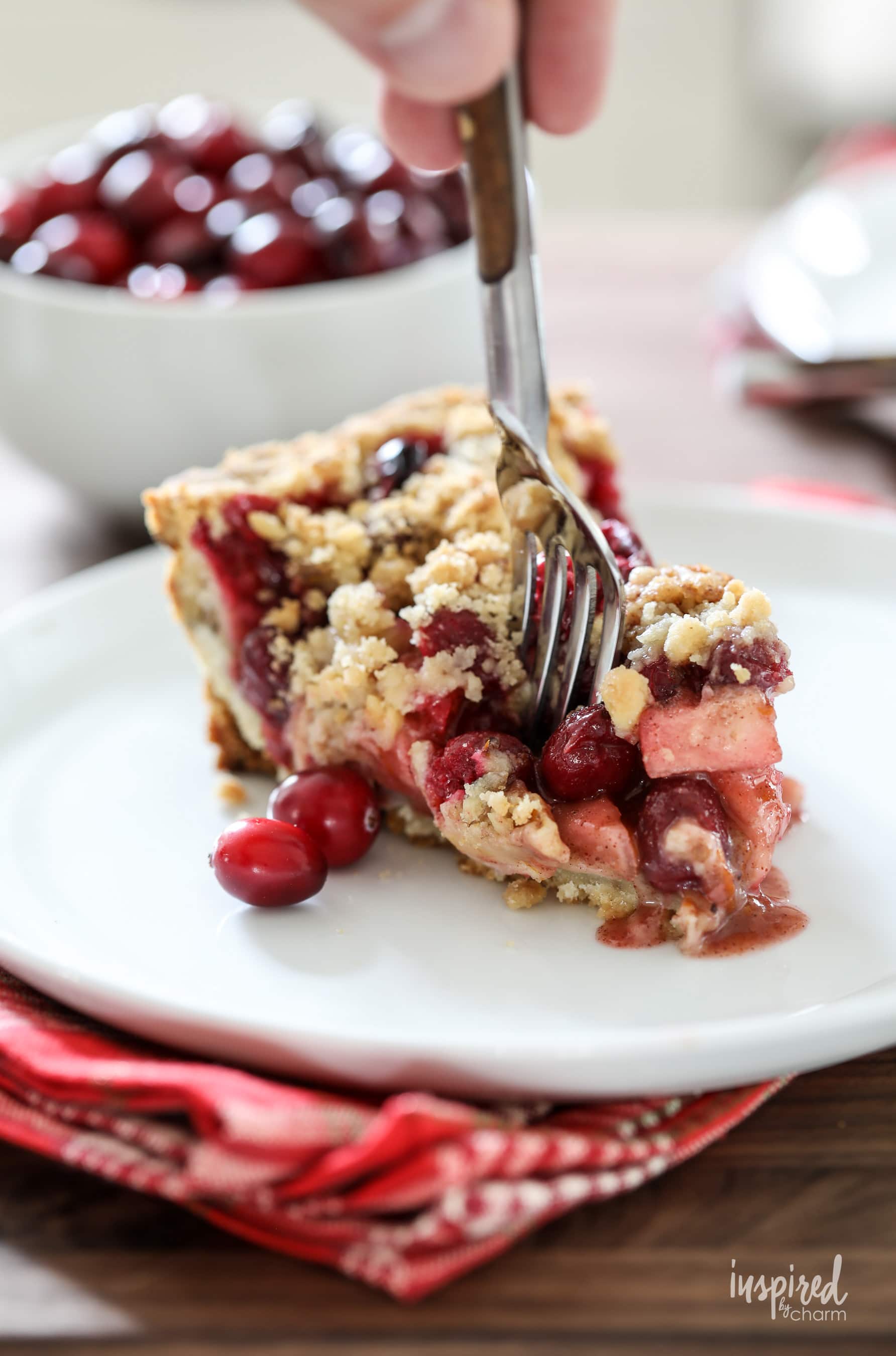 Apple Cranberry Tart - delicious holiday dessert recipe