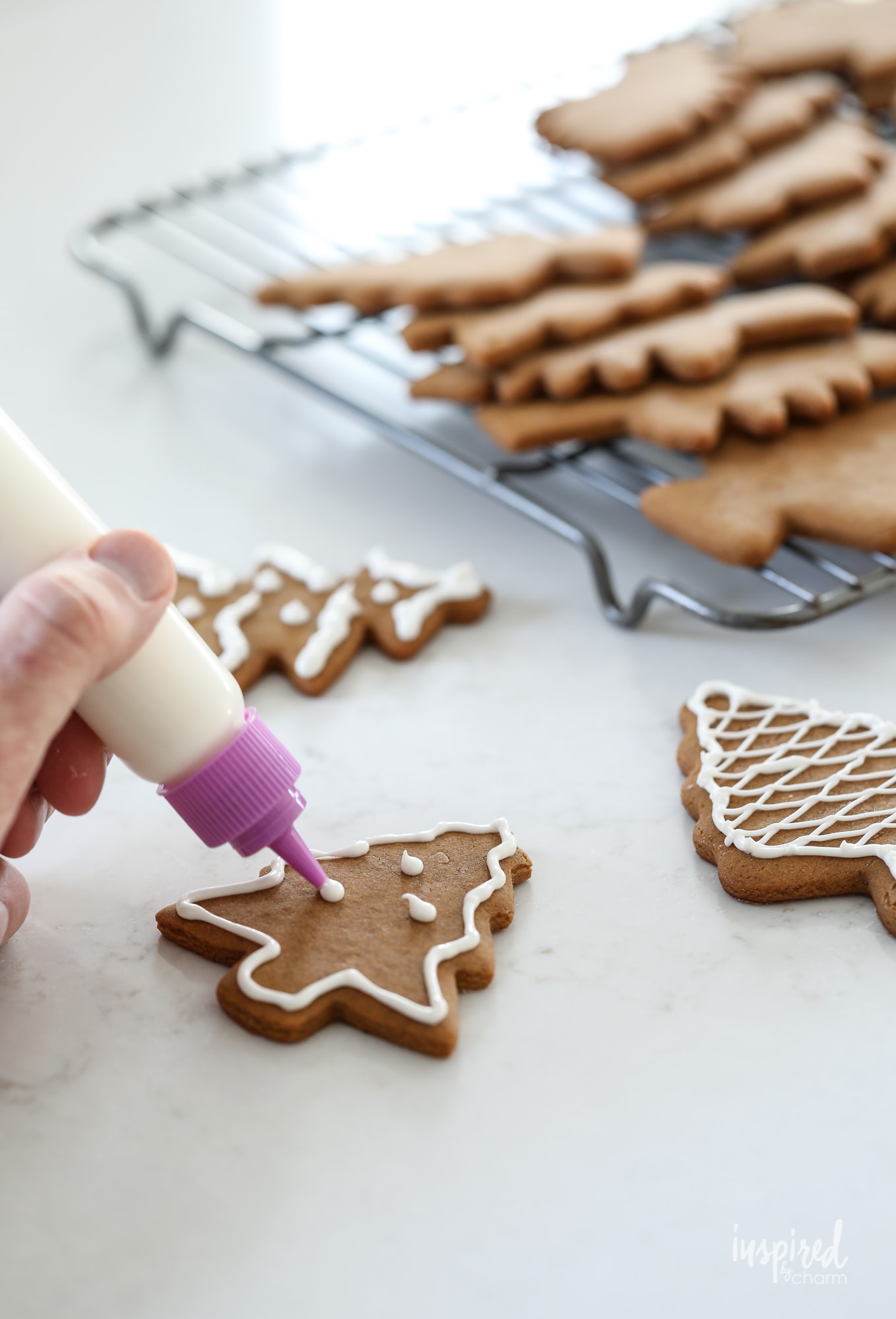 Delicious and festive Gingerbread Cookies! #christmas #cookies #gingerbread 