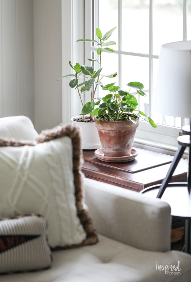 Incorporating New Indoor Plants - Home Decor with Plants #plant #decor #decorating #plants #pothos #myrtle #pilea