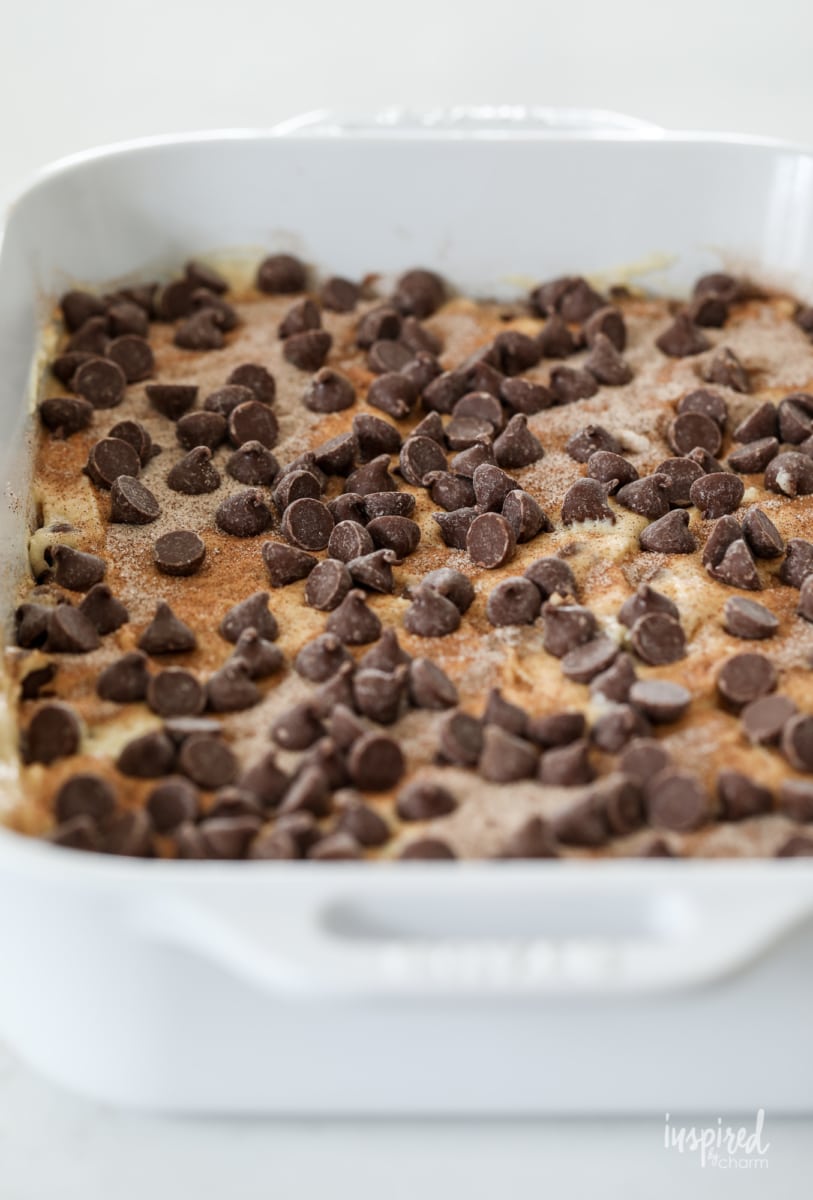 unbaked chocolate chip cake with lots of chocolate chips. 