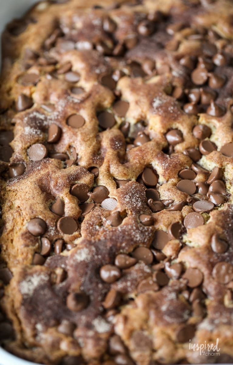 top of a chocolate chip cake loaded with chocolate chips.