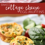 Baked Cottage Cheese Egg Muffins #breakfast #lunch #egg #cottagecheese #mealprep #crustlessquiche #eggmuffins