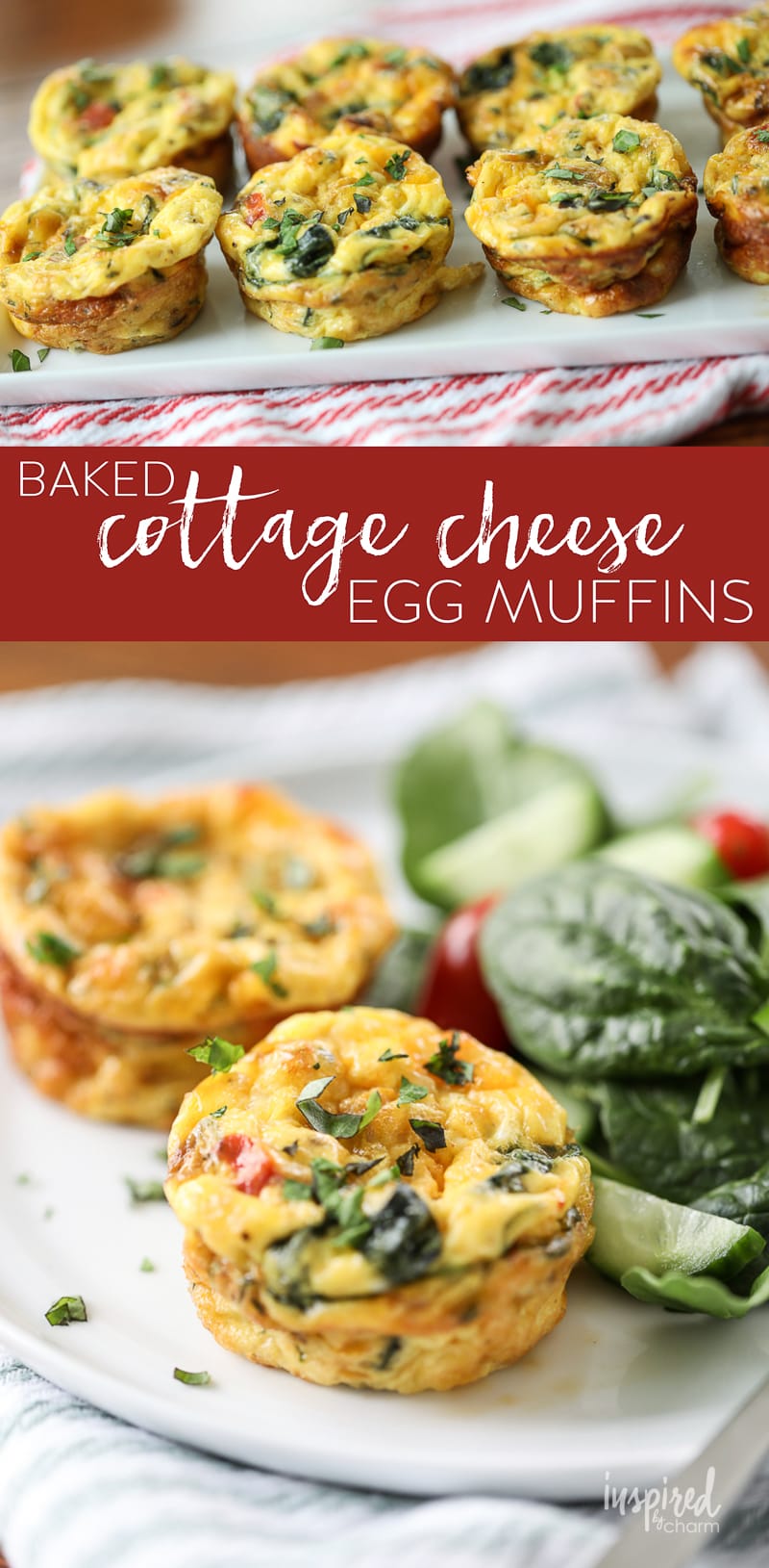 Baked Cottage Cheese Egg Muffins (Easy, Healthy, On-the-Go Breakfast!)