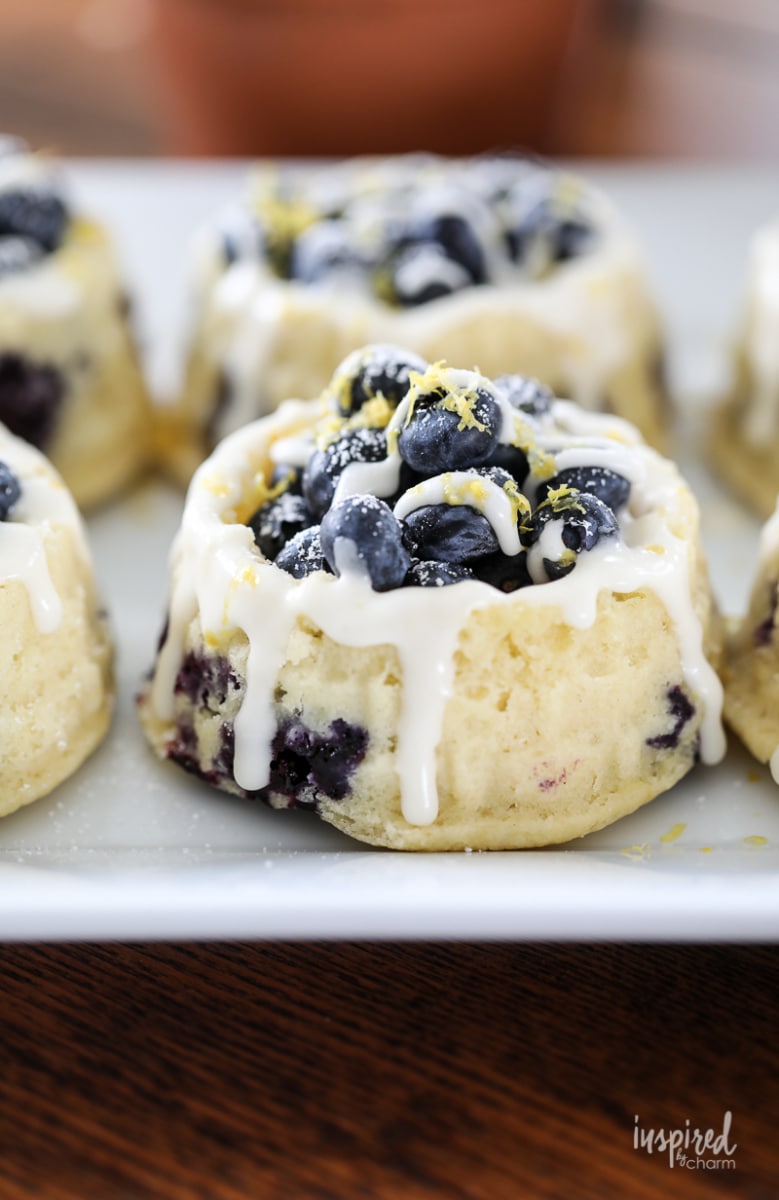 close up of Homemade Blueberry Shortcakes.