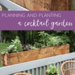 Creating and Planting an Impromptu Cocktail Garden #cocktailgarden #garden #planting #cocktail #containergarden #vegetablegarden